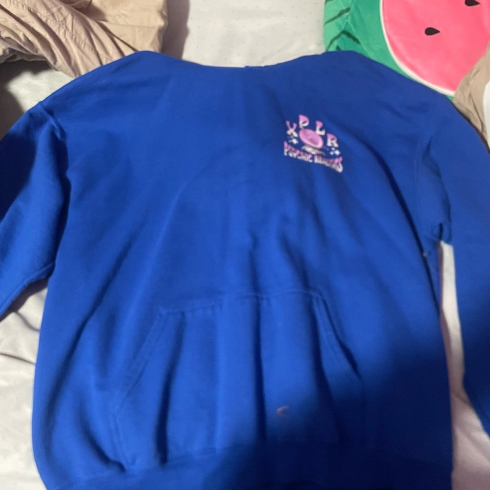 Blue Sweatshirt with Logo